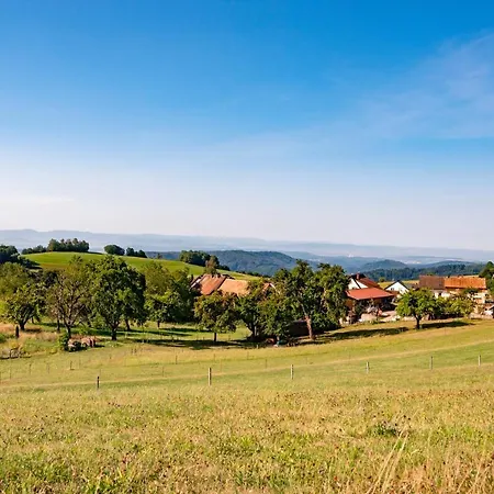 Otel Hofgut Leo Zell im Wiesenthal